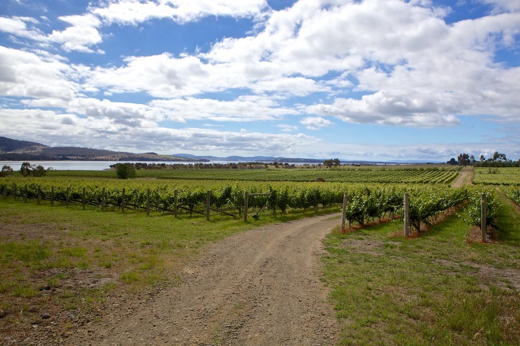 Riversdale Estate Cottages ケンブリッジ エクステリア 写真
