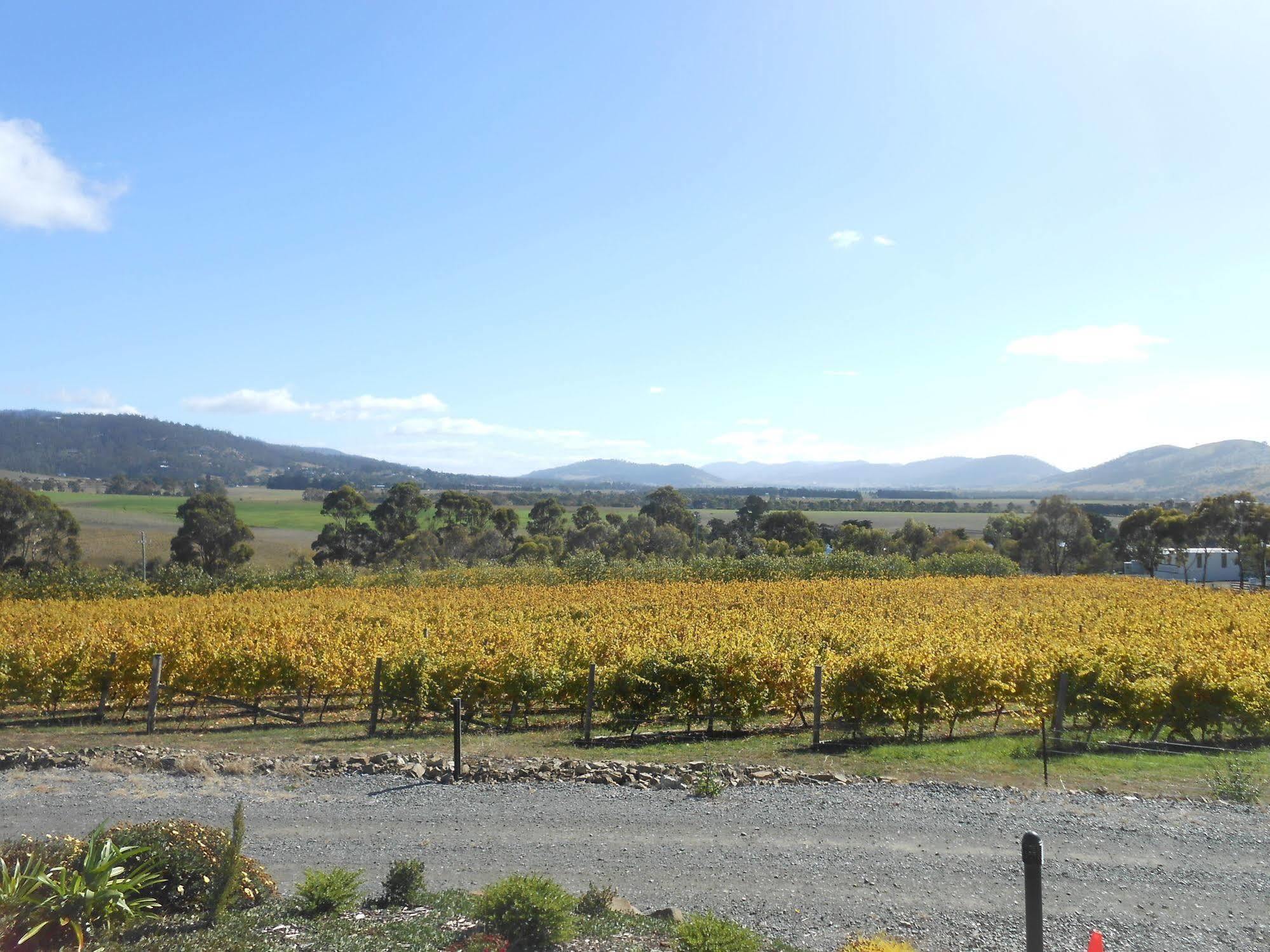 Riversdale Estate Cottages ケンブリッジ エクステリア 写真